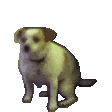 c42ae747842805e05dc3fbc03107d295af4219eb7eb2117a3510d2c4d9df9209(1)-EakaLsggypWEmGCAnNYsgcZWzeolHiXq.gif